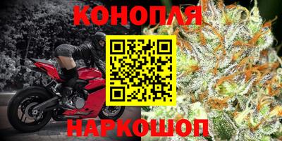 тгк Моздок