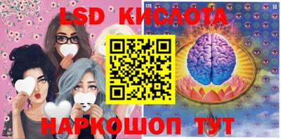 индика Можга