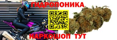 эйфоретик Можайск