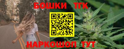 индика Можга
