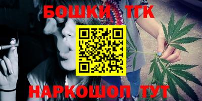 индика Можга