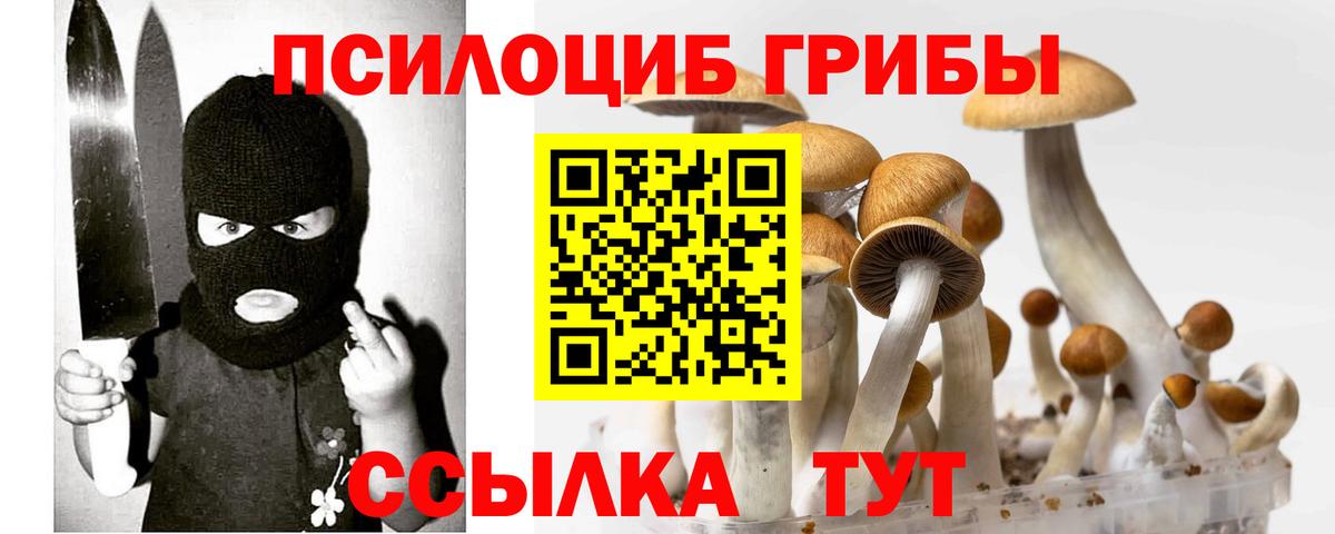 Псилоцибиновые грибы GOLDEN TEACHER  Вход с VPN  Серпухов 